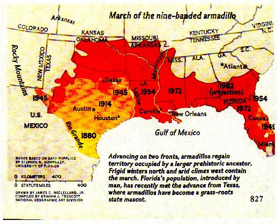 Map of the expansion of the nine-banded armadillo through the 1980s. These animals have been migrating as much as 100 miles per decade. 