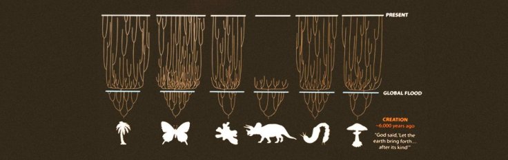 The AIG view of the evolution of species within kinds. This is their most recent graphic which they have used to promote their view of the history of life on Earth. 
