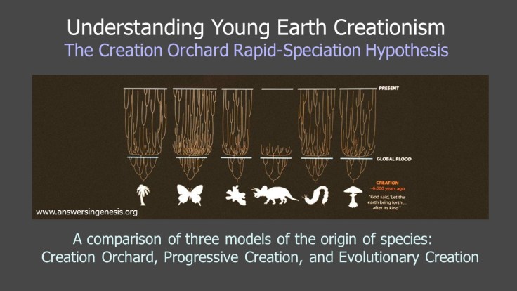 Duff-Understanding-Creationism