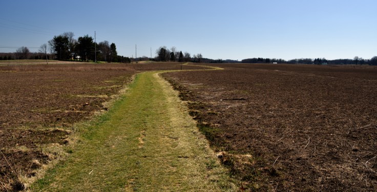 afterburn-Springfield