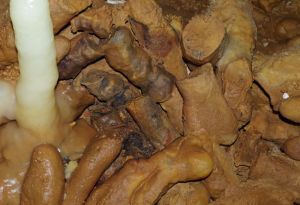 I close up on some of the broken stalagmites showing the imact of fire on them. They are all covered by a new coat of calcite and you can see the white stalagtite which has grown since the structure was abandoned. Image: Michel SOULIER – SSAC