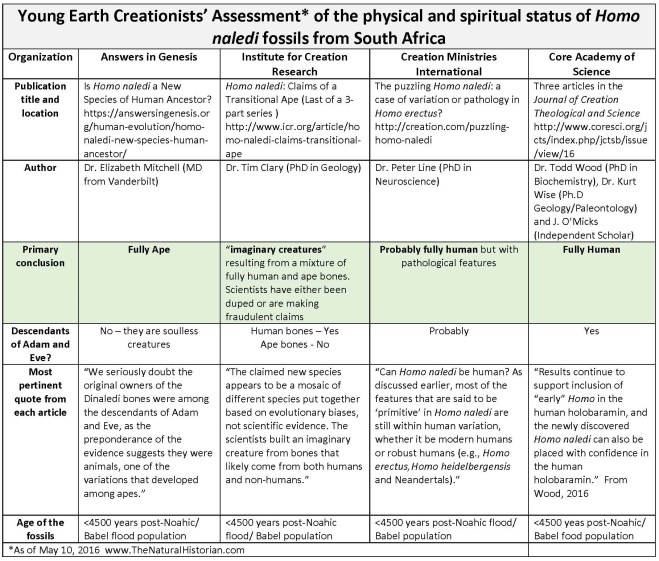 Homo-naledi-Scorecard-creationism