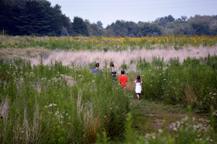 Springfield-bog-flowers-family2