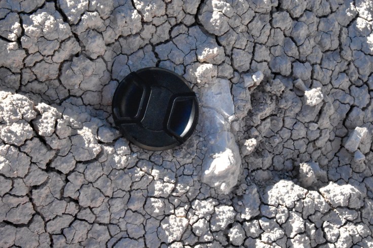 A piece of bone protruding from the hillside.