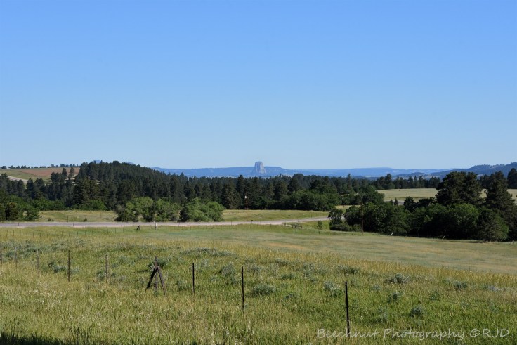 First sighting of Devils Tower coming up from the south. Image: Joel Duff