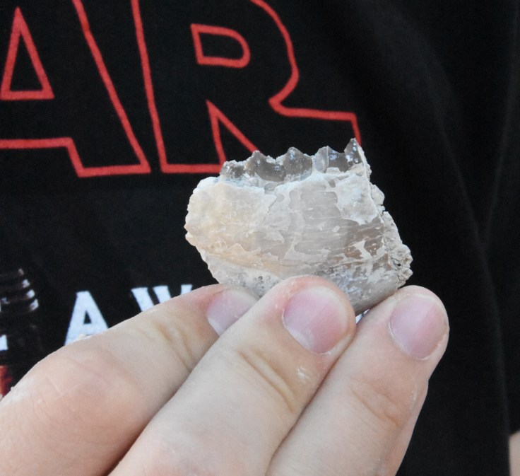 One of my sons holding up a piece of jaw of what could be an oreodont that he found. Photo: Joel Duff