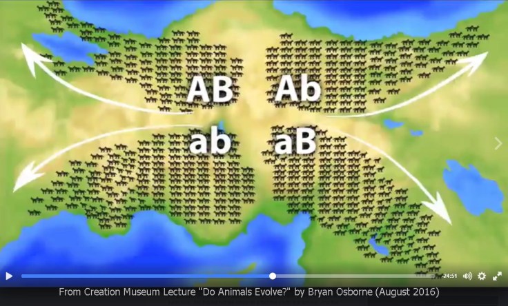 AiG-Osborne-after-flood-variation-kinds-2016
