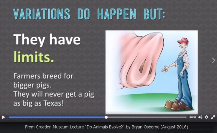 AiG-Osborne-limits-variation-pigs-2016