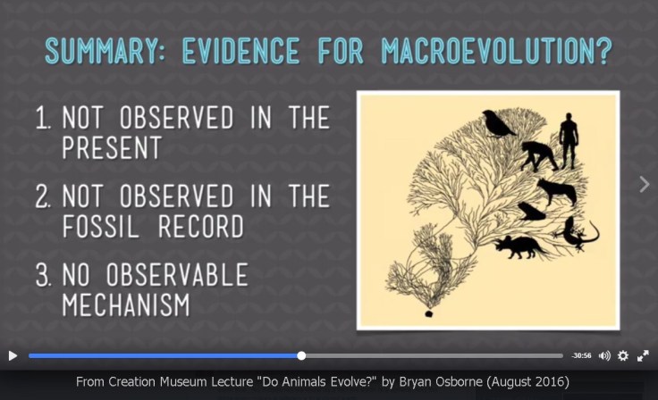 AiG-Osborne-macroevolution-summary-2016