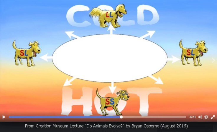 AiG-Osborne-natural-selection-dogs-2016