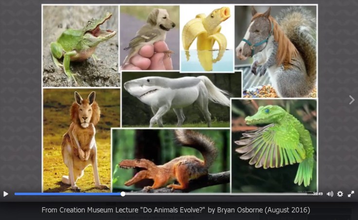 AiG-Osborne-transitional-fossils-2016