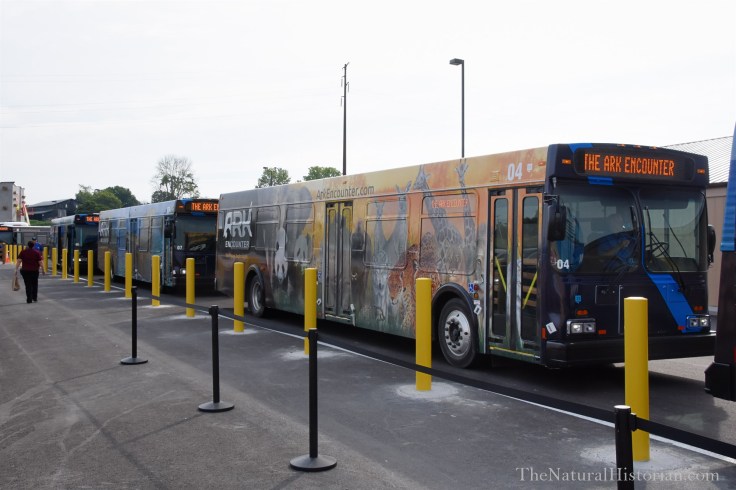 Ark-encounter-bus-queue