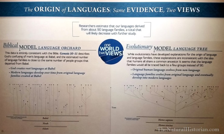 Ark-encounter-origin-languages