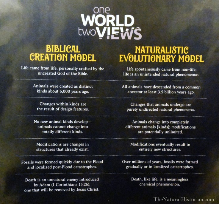 Biblical-evoluton-vs-naturalistic-evolution-ark-encounter
