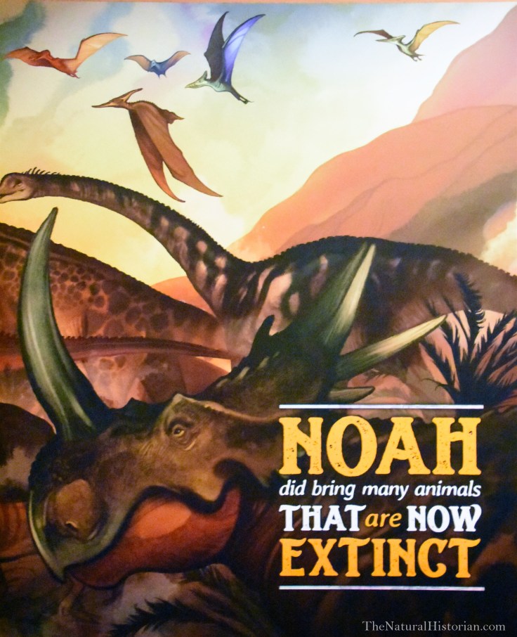 Noah-saved-extinct-animals-ArkEncounter