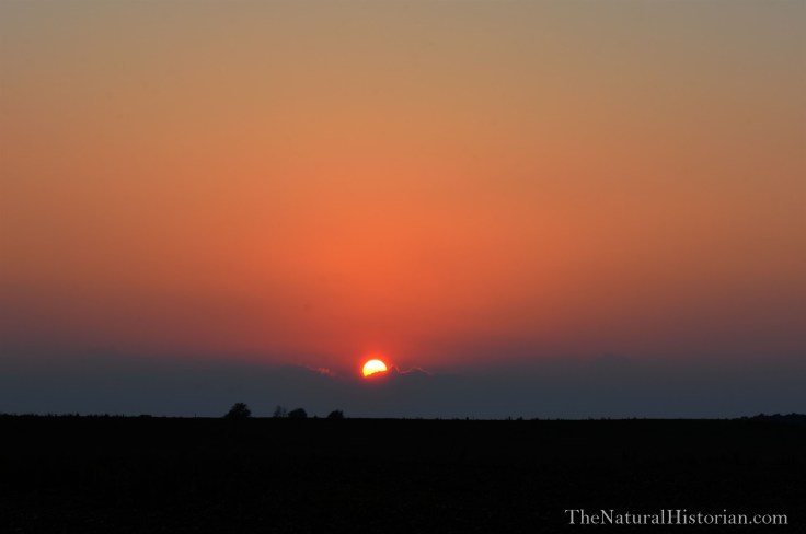 Sunset-Kentucky-July22b-Beechnut-Photos-rjduff
