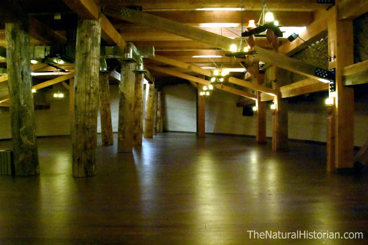 Ark-encounter-3rd-deck-bow-emptyspace