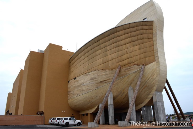 Ark-Encounter-backsidebow