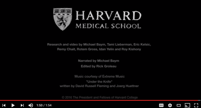 Screenshot of the credits from the video