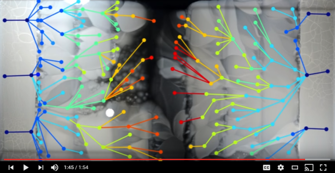 A screenshot of the HMS bacterial evolution video. Here they show where important mutations occurred in some lineages of bacteria. A change in color indicates that a mutation changed the DNA code. Image: HMS video, see credits on screenshot below.