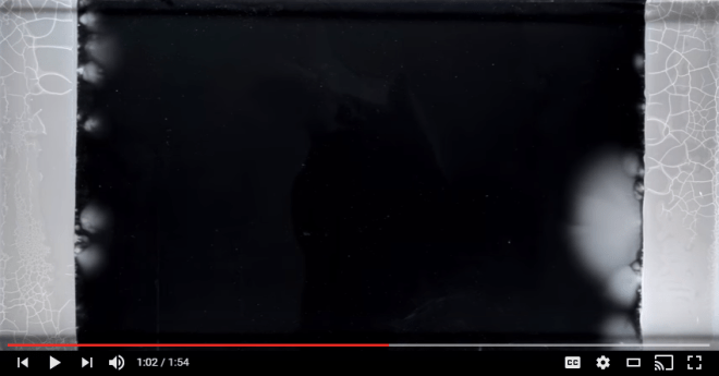 In this screenshot of the Harvard Medical School video we see the first bacteria that have had the right mutations to resist antibiotics and take advantage of the resources in the second lane with low dose antibiotics. Credit: HMS, see credit screen below,