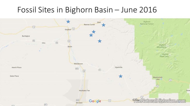fossil-collections-bighornbasin2016-wyoming