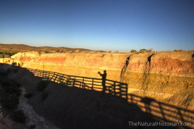 red-gulch-dinosaur-tracksite-selfie-sunrise-beechnut-photos-rjduff