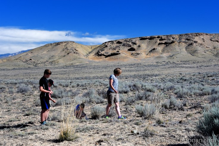 red-gulch-huntingforgryphaeafossilswyoming