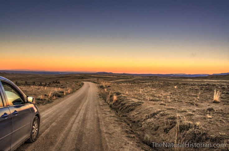 red-gulch-sunrise-dinosaur-tracksitearea-2016beechnut-photos-rjduff