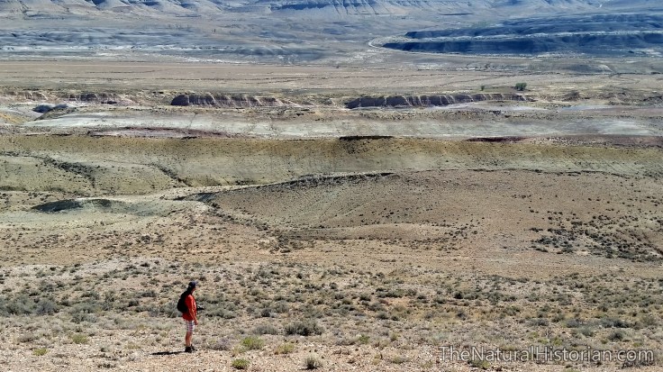 sheep-mountain-joel-lookingtowardeastandcar