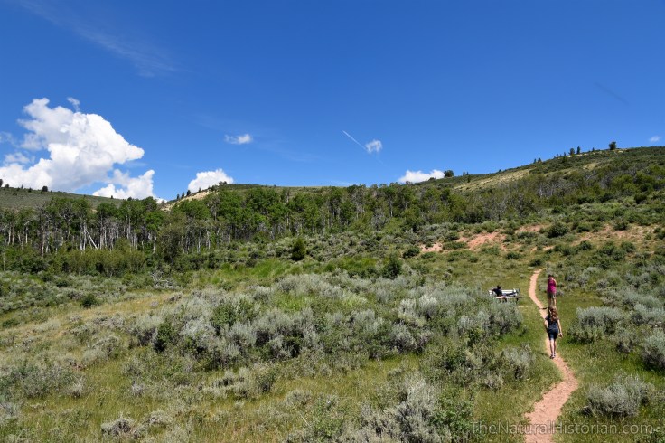 fossil-butte-hike-quarry
