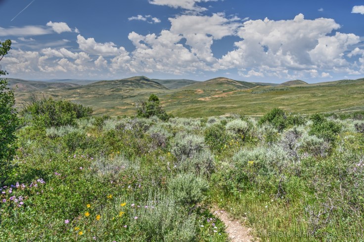 fossil-butte-hike-quarry2