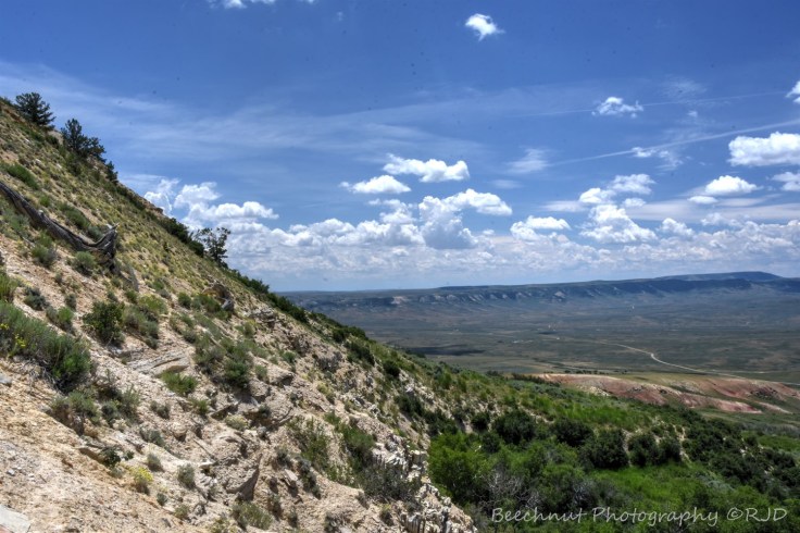 fossil-butte-quarrylocation-fossilbedshdrbeechnut-photos-rjduff