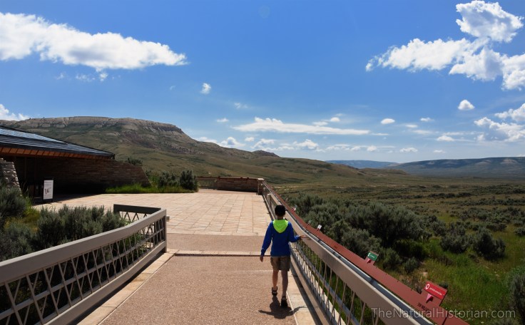 fossil-butte-wyoming-visitors-center2016