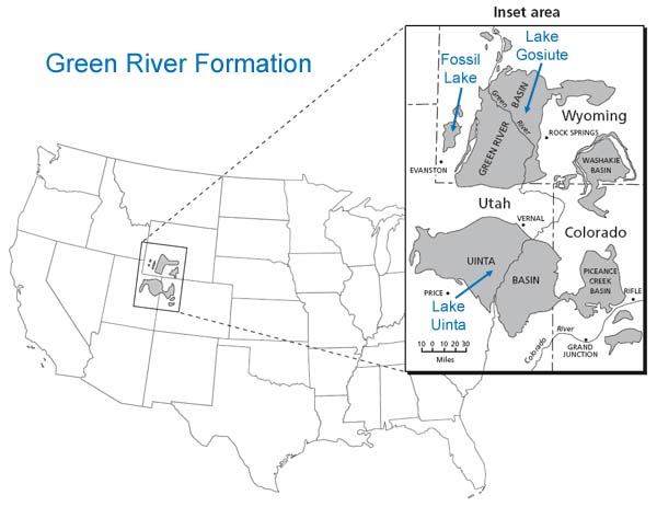 Fossil Butte National Monument is the remains of "Fossil Lake." 