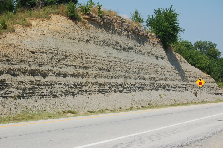 kentucky-roadcut-fossils-i71