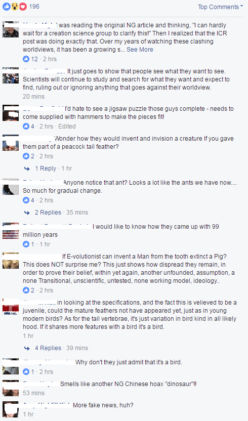 reponsestofeatherdino