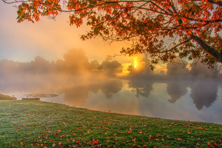 foggymorningbeechnut-photos-rjduff