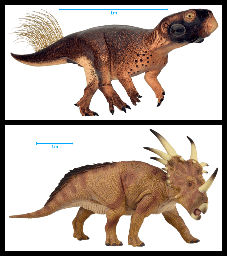 Psittacosaurus and Styracosaurus