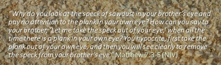 Mathew7Removingthespeck2