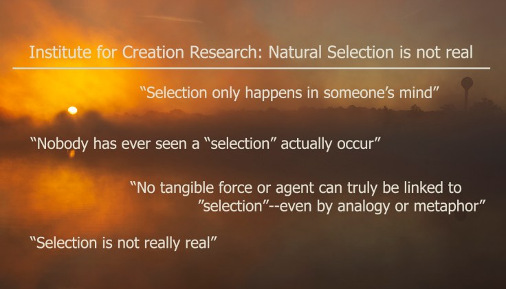 ICR-natural-selection-not-real-guliuzza1