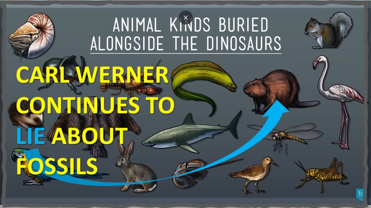 The Persistent Myth of Modern Mammals Living with Dinosaurs – Naturalis ...